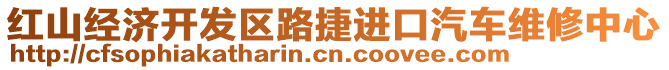 紅山經濟開發區路捷進口汽車維修中心
