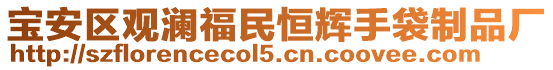 寶安區(qū)觀瀾福民恒輝手袋制品廠