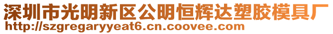 深圳市光明新區(qū)公明恒輝達塑膠模具廠