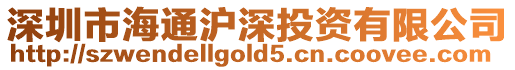 深圳市海通滬深投資有限公司