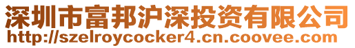 深圳市富邦滬深投資有限公司