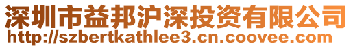 深圳市益邦滬深投資有限公司