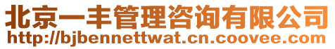北京一豐管理咨詢有限公司