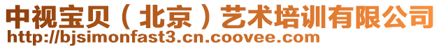 中視寶貝(北京)藝術培訓有限公司