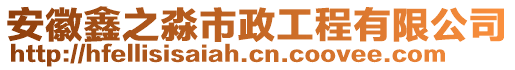 安徽鑫之淼市政工程有限公司
