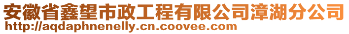 安徽省鑫望市政工程有限公司漳湖分公司