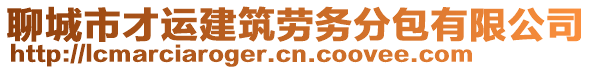 聊城市才運(yùn)建筑勞務(wù)分包有限公司