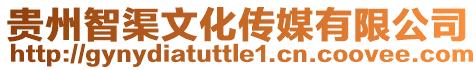 貴州智渠文化傳媒有限公司