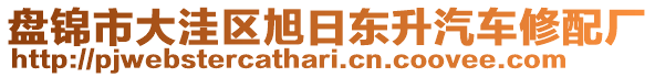盤錦市大洼區旭日東升汽車修配廠