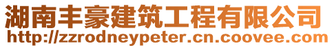 湖南豐豪建筑工程有限公司