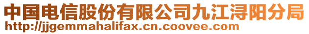 中國電信股份有限公司九江潯陽分局