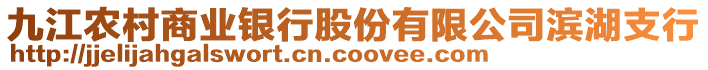 九江農(nóng)村商業(yè)銀行股份有限公司濱湖支行