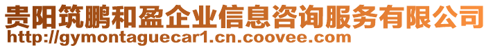 貴陽(yáng)筑鵬和盈企業(yè)信息咨詢服務(wù)有限公司