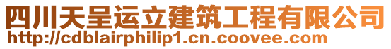 四川天呈運立建筑工程有限公司