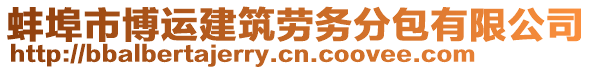 蚌埠市博運(yùn)建筑勞務(wù)分包有限公司