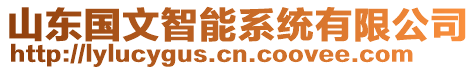 山東國文智能系統(tǒng)有限公司