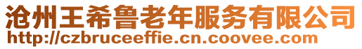 滄州王希魯老年服務(wù)有限公司