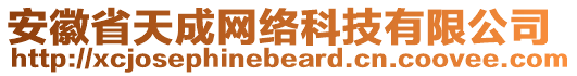 安徽省天成網(wǎng)絡(luò)科技有限公司