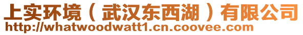 上實(shí)環(huán)境（武漢東西湖）有限公司