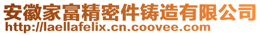 安徽家富精密件鑄造有限公司