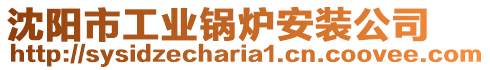 沈陽市工業(yè)鍋爐安裝公司