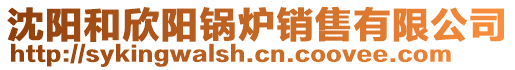 沈陽和欣陽鍋爐銷售有限公司