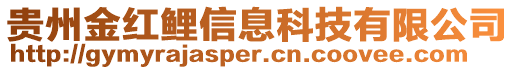 貴州金紅鯉信息科技有限公司