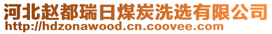 河北趙都瑞日煤炭洗選有限公司