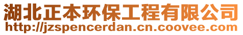 湖北正本環(huán)保工程有限公司