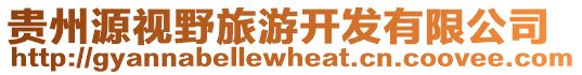 貴州源視野旅游開發有限公司