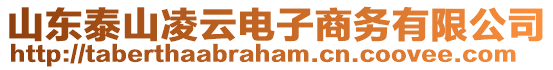 山東泰山凌云電子商務(wù)有限公司