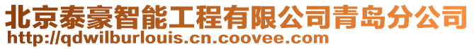 北京泰豪智能工程有限公司青島分公司
