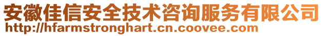 安徽佳信安全技術(shù)咨詢服務有限公司