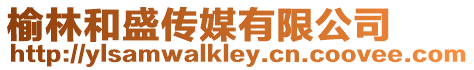 榆林和盛傳媒有限公司