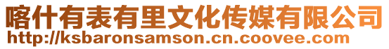喀什有表有里文化傳媒有限公司