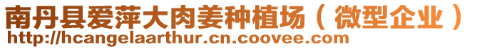 南丹縣愛(ài)萍大肉姜種植場(chǎng)（微型企業(yè)）