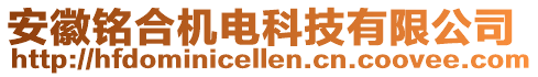 安徽銘合機電科技有限公司