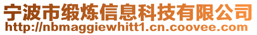 寧波市緞煉信息科技有限公司