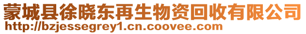 蒙城縣徐曉東再生物資回收有限公司