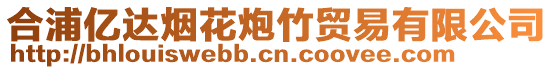 合浦億達煙花炮竹貿易有限公司