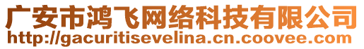 廣安市鴻飛網(wǎng)絡(luò)科技有限公司