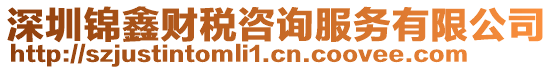 深圳錦鑫財(cái)稅咨詢服務(wù)有限公司