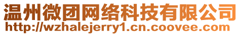 溫州微團(tuán)網(wǎng)絡(luò)科技有限公司