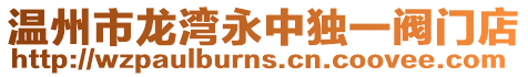 溫州市龍灣永中獨(dú)一閥門店