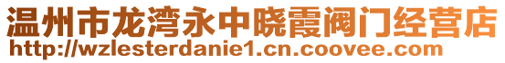 溫州市龍灣永中曉霞閥門經(jīng)營(yíng)店