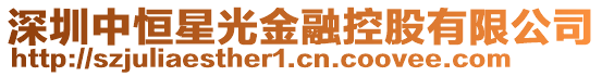 深圳中恒星光金融控股有限公司