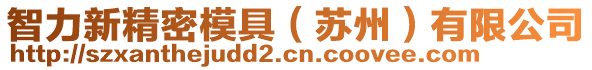 智力新精密模具（蘇州）有限公司