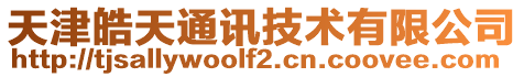 天津皓天通訊技術有限公司