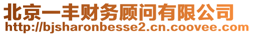 北京一豐財(cái)務(wù)顧問(wèn)有限公司