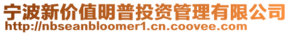 寧波新價值明普投資管理有限公司